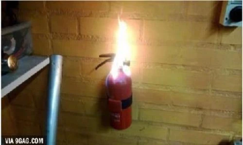 Vừa cười vừa sợ khoảnh khắc đen đủi cực ám ảnh