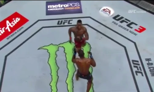 Video: Những pha hạ gục đối thủ kinh hoàng nhất làng UFC 2017