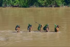 Hình ảnh chưa từng thấy về bộ lạc bí ẩn giữa rừng Amazon