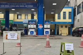 1 công ty xăng dầu xin dừng bán do thua lỗ, Sở Công Thương Hà Nội nói gì?