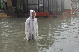 Sở GD&ĐT Hà Nội chậm ứng phó bão, 'đẩy' phụ huynh phản ứng nhanh?