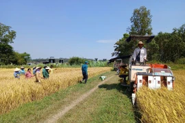 Chuyển đổi số nông nghiệp, bài 'kiểm tra' năng lực chuyển đổi số quốc gia