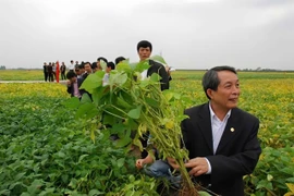 GS.TSKH Trần Đình Long, từ cánh đồng trung du tới công dân Thủ đô ưu tú