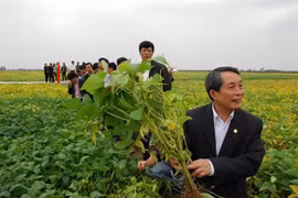 GS.TSKH Trần Đình Long, từ cánh đồng trung du tới công dân Thủ đô ưu tú