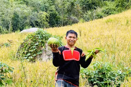 Giám đốc 9X Kpă Séo, 'kỹ sư chân đất' và doanh thu tỷ đồng từ vùng đất khó