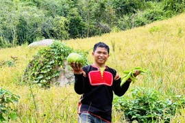 Giám đốc 9X Kpă Séo, 'kỹ sư chân đất' và doanh thu tỷ đồng từ vùng đất khó