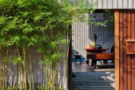Tổ tiên cảnh báo tuyệt đối không trồng cây này trước cửa nhà