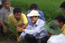 Nhà khoa học được nông dân trìu mến gọi tên 'Thầy Vệ'