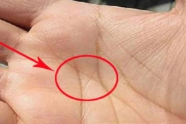 Dấu hiệu đặc biệt trên lòng bàn tay báo hiệu vận mệnh giàu sang