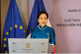 TS. Ngô Phương Lan... người bền bỉ kết nối văn hóa Việt - Pháp 