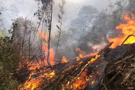 Nắng nóng diện rộng đến sớm bất thường, chuyên gia cảnh báo loạt nguy cơ