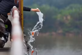 Cúng ông Công ông Táo, thả cá chép sao cho đúng để tránh nghiệp sát sinh?