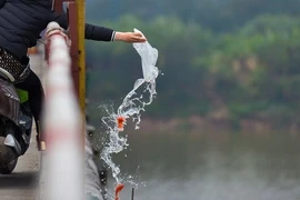 Cúng ông Công ông Táo, thả cá chép sao cho đúng để tránh nghiệp sát sinh?