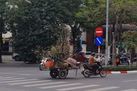 Hà Nội cấm xe máy xăng, cần lộ trình tín chỉ xe sạch