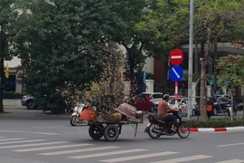 Hà Nội cấm xe máy xăng, cần lộ trình tín chỉ xe sạch