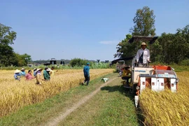 Khơi dậy sức mạnh khoa học công nghệ, kiến tạo nền kinh tế tri thức Việt Nam