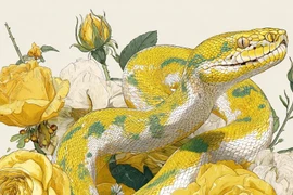 4 con giáp bớt so sánh dễ sống giàu có, hạnh phúc hơn