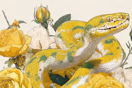 4 con giáp bớt so sánh dễ sống giàu có, hạnh phúc hơn