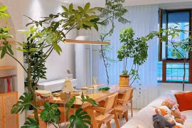 Cổ nhân dặn 'Phòng khách có 3 cây, mười nhà chín giàu'