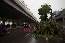 Miền Bắc giông dữ bất ngờ, chuyên gia cảnh báo