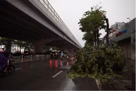 Miền Bắc giông dữ bất ngờ, chuyên gia cảnh báo