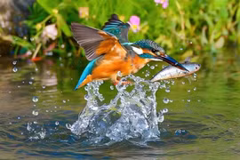 Người sinh vào 4 ngày Âm lịch này, số mệnh cát tường, tháng 11 tiền đầy túi