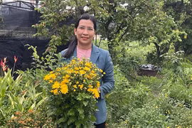 Nữ tiến sĩ giúp hoa Việt 'thoát nhập ngoại', tạo cái đẹp 'ra tiền'