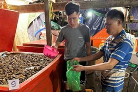 Thủy tinh lỏng ngâm ốc độc hại cỡ nào?