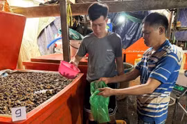 Thủy tinh lỏng ngâm ốc độc hại cỡ nào?