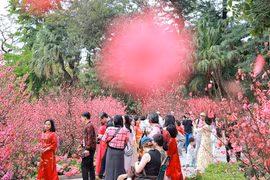 Mùng 2 Tết, không khí lạnh tăng cường, Bắc Bộ mưa rét