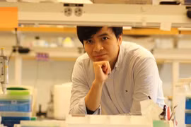 Nhà khoa học Việt chế gel chữa khớp không cần mổ