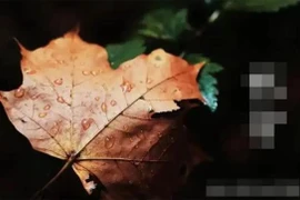 Thu phân 23 tháng 9 rơi đúng Thứ Ba, tiết lộ bí mật trời đất