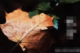 Thu phân 23 tháng 9 rơi đúng Thứ Ba, tiết lộ bí mật trời đất