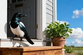 5 điềm may 'số phận' gửi gắm, gặp được tài lộc sẽ đến ngay