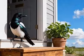 5 điềm may 'số phận' gửi gắm, gặp được tài lộc sẽ đến ngay