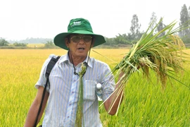 Hành trình đưa gạo Việt lên ngôi ngon nhất thế giới của AHLĐ Hồ Quang Cua