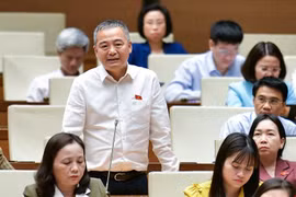 ĐBQH Nguyễn Lân Hiếu: 5 trăn trở về ngành Y, đề xuất chế tài đặc biệt