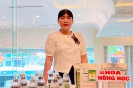 Nữ giáo sư biến đất cát miền Trung thành 'mùa vàng' tiền tỷ