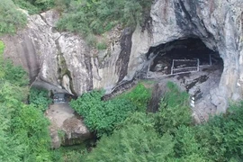 Hé lộ công thức bài thuốc cổ 5.000 năm trong hang núi lửa, y học bàng hoàng