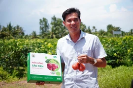 Lai tạo giống mận mới, 'nhà khoa học nông dân' thu hàng chục tỷ mỗi năm