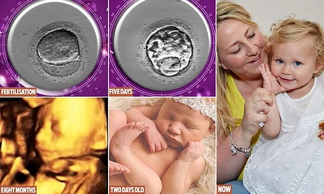 Hành trình em bé chào đời bằng thụ tinh nhân tạo