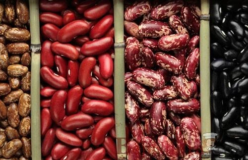 Siêu thực phẩm đẩy lùi chứng bệnh tuổi già