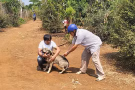 Nam thanh niên tử vong sau 20 ngày bị chó cắn