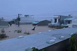 Mưa lớn kéo dài và nước từ thượng nguồn sông suối đổ về gây ngập lụt khắp nơi ở khu vực phía Đông tỉnh Đắk Lắk