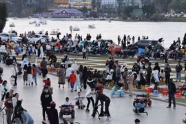 Lâm Đồng đón 925.000 lượt khách dịp Tết, thu 1.850 tỷ đồng