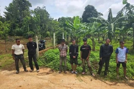 Khởi tố 5 đối tượng cướp giật tài sản lấy tiền ăn nhậu