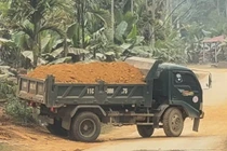 Nam tài xế ở Lào Cai bị xử phạt vì chở đất không che chắn