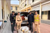 Phát hiện ô tô chở 12 cá thể tê tê trong thùng xốp ở Cao Bằng