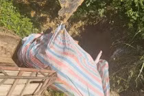 Hai người dân ở Phú Thọ mua bán 7 con lợn nhiễm dịch tả châu Phi