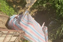 Hai người dân ở Phú Thọ mua bán 7 con lợn nhiễm dịch tả châu Phi